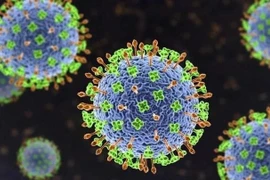 Dinh dưỡng hợp lý giúp nâng cao đề kháng phòng virus Nipah
