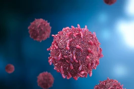 Cơ chế giúp tế bào ung thư né tránh hệ miễn dịch