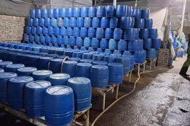 Hàng tấn giá đỗ chứa chất cấm, chuyên gia cảnh báo nguy hại cho người dùng 