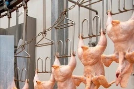 Hà Nội tăng cường kiểm tra, xử lý vi phạm an toàn thực phẩm trước Tết 