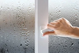 Chọn máy hút ẩm phù hợp để giữ không khí trong lành mùa nồm