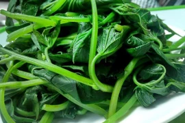 Lợi ích của rau khoai lang trong bảo vệ sức khỏe