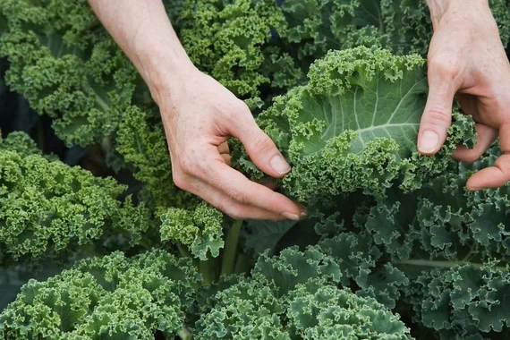 Thực phẩm giúp làm sáng vùng da quanh mắt, giảm thâm quầng