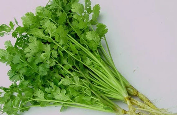 Giữ ấm, tăng đề kháng mùa đông với loại rau gia vị quen thuộc