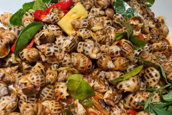 Lợi ích bất ngờ của ốc hương đối với sức khỏe