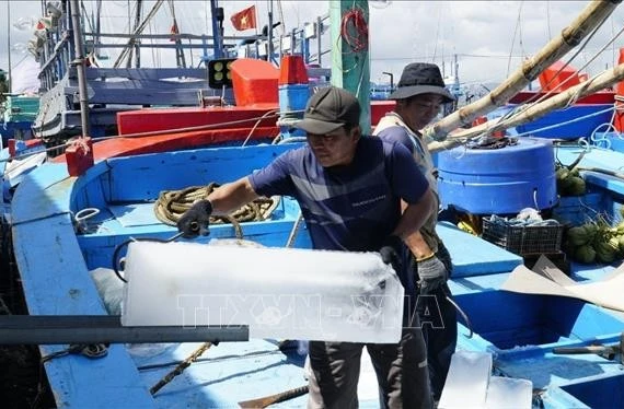 Ngư dân Gia Lai chuẩn bị ra khơi đón mùa cá ngừ đầu năm mới