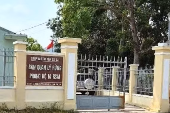 Công an Gia Lai bắt tạm giam một giám đốc ban quản lý rừng phòng hộ