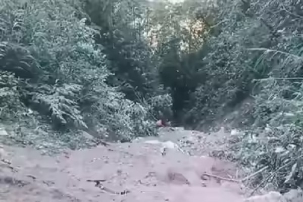 Foto: India Times. ando2.png