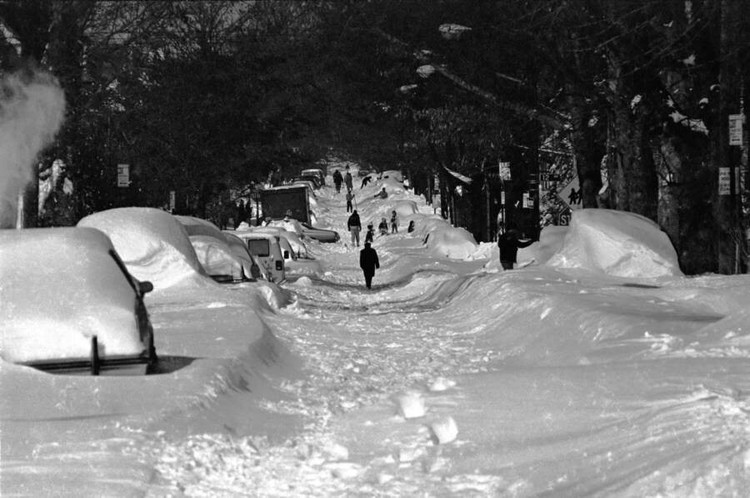 Parcul Boro după o viscol din anii 1983-1984. Fotografie: Flickr. my13.jpg
