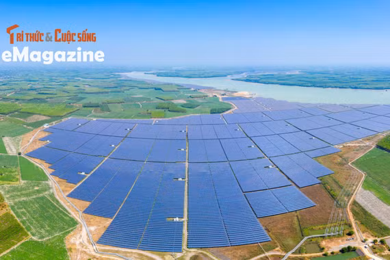 [e-Magazine] Từ Net Zero đến Việt Nam Xanh: Tái định hình nền kinh tế!