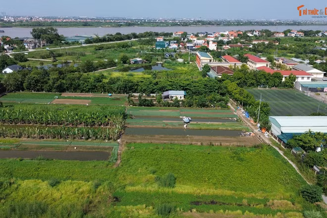 'Tận mục' dự án đấu giá đất hơn 200 tỷ ở khu du lịch Hồng Vân