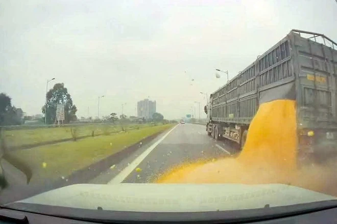CSGT xử phạt tài xế làm rơi 3 tấn ngô hạt trên đường cao tốc