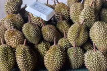 Sầu riêng rẻ chưa từng có, hàng xuất khẩu tràn chợ TP HCM