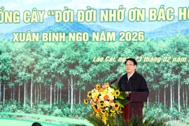 Chủ tịch nước dự lễ phát động Tết trồng cây 2026 tại Lào Cai