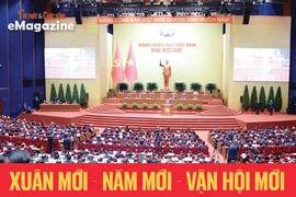Xuân mới - Năm mới - Vận hội mới