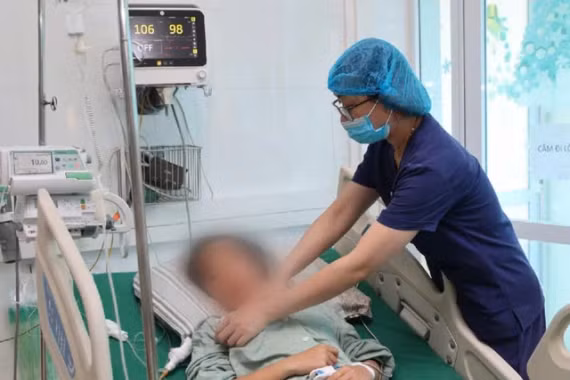 Liên tiếp các trường hợp nhập viện vì rắn cắn