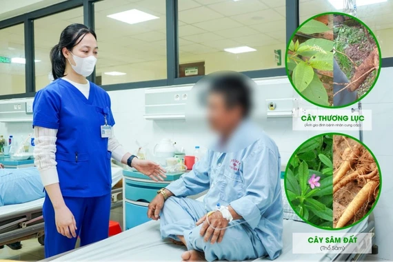 Ăn sâm đất bổ dưỡng, người đàn ông ngộ độc vì nhầm củ thương lục