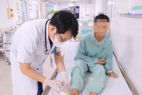 Nhiều trường hợp nhập viện do rắn cắn, cảnh báo mùa rắn sinh sản