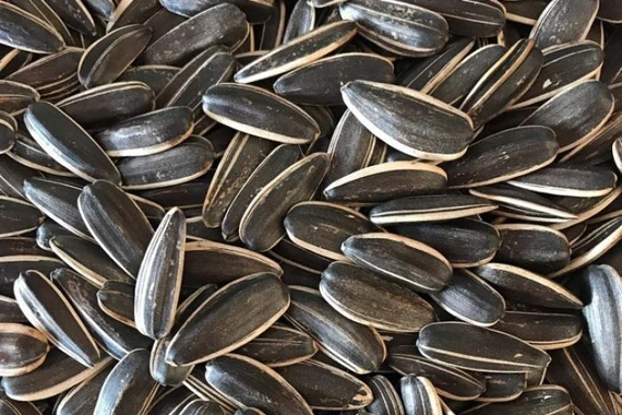 Tăng cường sức khỏe ngày Tết với các loại hạt dinh dưỡng