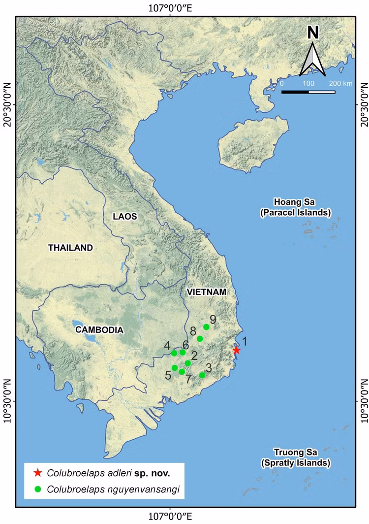 Loai ran ho nuoc vua duoc phat hien chi co o Viet Nam