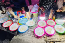 Chợ đêm Cửa Lò sôi động với mực nháy tươi ngon bên biển