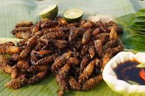 Từ tiếng ve râm ran đến món ăn tiền triệu ở Sơn La