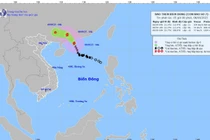 Tin mới cơn bão số 7 Tapah trên Biển Đông