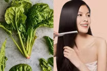 Mẹo chăm sóc tóc bằng rau chân vịt an toàn, tiết kiệm, dễ thực hiện tại nhà