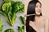 Mẹo chăm sóc tóc bằng rau chân vịt an toàn, tiết kiệm, dễ thực hiện tại nhà