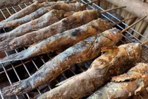 Cá thòi lòi - món đặc sản miền Tây gây sốt với giá cao và sức hấp dẫn riêng