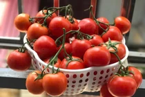 Không cần tủ lạnh, cà chua vẫn tươi lâu suốt tháng với mẹo đơn giản
