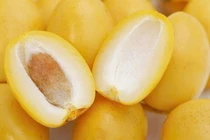 Khám phá lợi ích sức khỏe ẩn sau hương vị lạ miệng của quả chà là