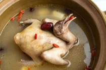 Lợi ích dinh dưỡng của thịt chim bồ câu trong chăm sóc sức khỏe