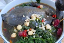 Ngải cứu giúp dưỡng khí huyết, an thần