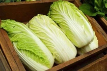 Bí quyết chọn cải thảo ngon, ít hỏng giòn ngọt