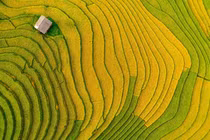 Du lịch Sa Pa dịp lễ 2/9, đa dạng tour từ bình dân đến cao cấp