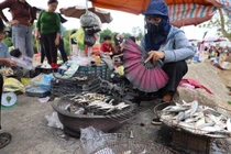 Món cá trích nướng hút khách nườm nượp, dân làng chài thu tiền triệu mỗi ngày