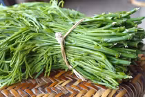 Những loại rau rừng miền núi hấp dẫn, giá trị ẩm thực và sức khỏe đặc biệt