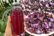 Uống nước lá tía tô pha chanh đúng cách, cơ thể nhẹ nhõm, đẹp da