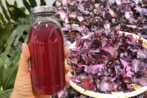 Uống nước lá tía tô pha chanh đúng cách, cơ thể nhẹ nhõm, đẹp da