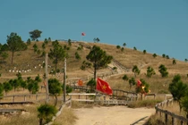 Đỉnh Phượng Hoàng đang 'cháy' sắc vàng mùa cỏ đẹp nhất năm