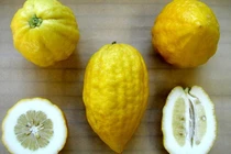 Lý do phụ nữ Nhật coi thanh yên là bí quyết giữ gìn nhan sắc