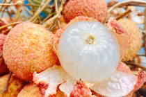 5 bí quyết chọn vải tươi ngon, ngọt lịm