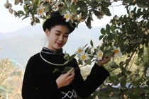 Không ít du khách kết hợp thăm các điểm đến nổi bật như sống lưng khủng long, đường tuần tra biên giới, thác Khe Vằn hay dạo chợ phiên trong sương sớm. Hành trình khám phá Bình Liêu mùa hoa sở vì thế không chỉ khép lại bằng khung cảnh mộng mị của rừng hoa, mà còn đọng lại trong ký ức về một miền văn hóa đậm đà bản sắc. Ảnh Báo Vietnamnet