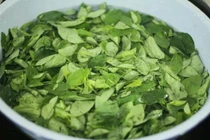 Vì sao không nên vò rau ngót trước khi rửa sạch?