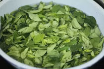 Vì sao không nên vò rau ngót trước khi rửa sạch?