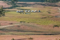 Trải nghiệm săn bình minh, cắm trại trên thiên đường cỏ hồng Masara