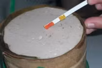 Thực phẩm dễ 'ngậm' hàn the trong bữa ăn hằng ngày