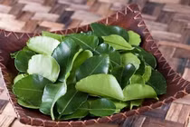 Không cần mỹ phẩm đắt tiền, chỉ với 5 loại lá này tóc vẫn đẹp