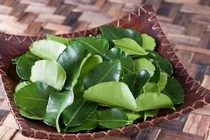 Không cần mỹ phẩm đắt tiền, chỉ với 5 loại lá này tóc vẫn đẹp